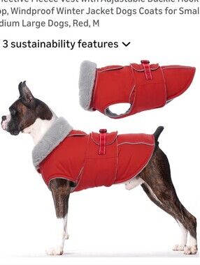 Red Dog Winter Coat with Fleece Collar